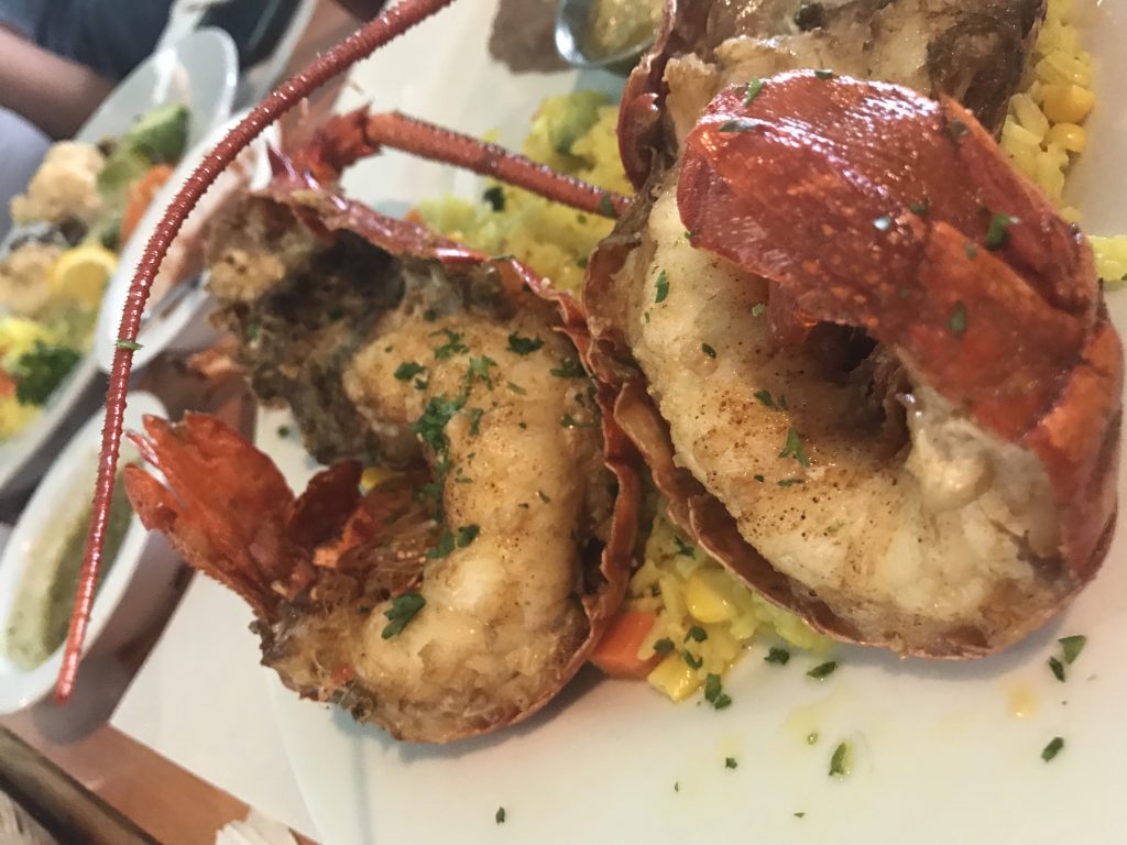 MahiMahi. Ensenada. Un blog sobre las horas.